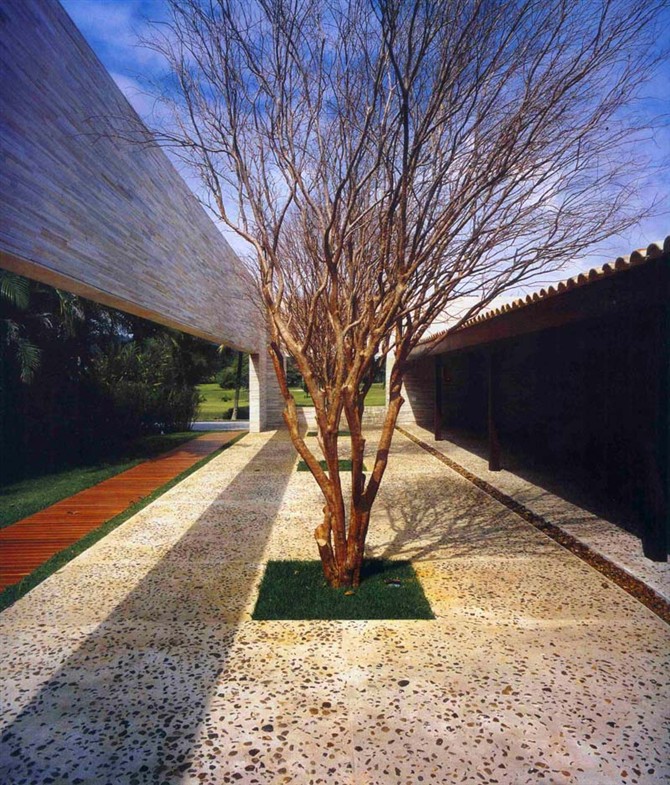 園林景觀(guān)之城區喬木種植技術(shù)