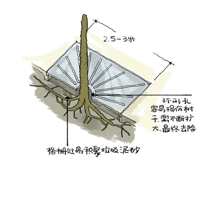 園林景觀(guān)之城區喬木種植技術(shù)