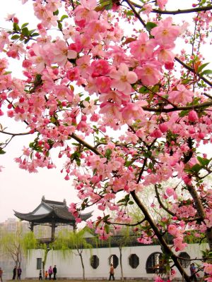 綠城景觀(guān)設計公司 園林公司 景觀(guān)公司 園林景觀(guān)設計 庭院設計
